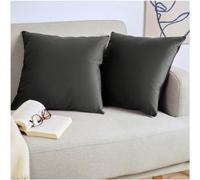 Blumtal Juego de 2 Fundas de Cojín de Terciopelo - Cojín Decorativo con Cremallera Oculta, Decoración para Hogar, Sofás, Camas, Antracita, 40 x 40 cm