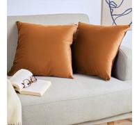 Blumtal Juego de 2 Fundas de Cojín de Terciopelo - Cojín Decorativo con Cremallera Oculta, Decoración para Hogar, Sofás, Camas, Marrón, 60 x 60 cm