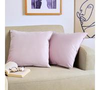 Blumtal Juego de 2 Fundas de Cojín de Terciopelo - Cojín Decorativo con Cremallera Oculta, Decoración para Hogar, Sofás, Camas, Rosa Palo, 40 x 40 cm