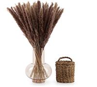 Blumtal Pampas Secas para Decoración - Hierbas de Pampas secas Grandes de 58-60 cm, Pampa Grass, Natural, 30 Piezas