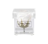 Blush & Blossom Rosa Flor en Despejar Caja, Avalanche