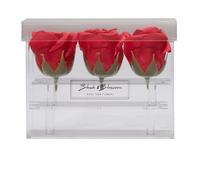 Blush & Blossom Rosa Flores 3 Pieza en Despejar Caja, Pasión