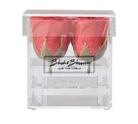 Blush & Blossom Rosa Flores 4-Pieza en Despejar Caja, Pasión