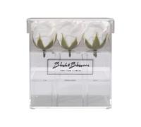 Blush & Blossom Rosa Flores 9-Pieza en Despejar Caja, Avalancha