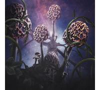 Blut Aus Nord – Hallucinogen