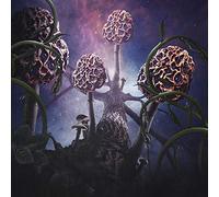 Blut Aus Nord - Hallucinogen [Vinilo]