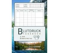 Blutdruck Protokoll »Bergsee« mit Medikamentenplan: 1 Jahr 3 mal täglich Blutdruck Werte und Puls erfassen, einfache Verwendung für Frauen und Männer, alle Altersgruppen