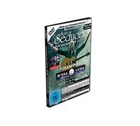 Blutengel - M'Era Luna 2017 - Der Film Teil 2 auf über 60 Clips + Titelstory und exkl. EP zum Album Sign Of The Dragonhead von Leaves Eyes + Sonic Seducer Jahresrückblick 2017, Bands: Depeche Mode u.v.a. de Audio]