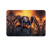 BLWSLC Felpudos estampados Spider in The Light, tapetes para exteriores, adecuados para cocinas, baños, decoración interior y exterior.