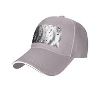 BLWSLC Gorra de béisbol para hombre, con visera curvada, con estampado musical, para viajes, fitness y senderismo, color negro, gris, Talla única