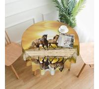 BLWSLC Mantel redondo con estampado de caballo, 152 cm, perfecto para reuniones familiares, restaurantes, vacaciones y celebraciones