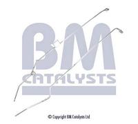 BM CATALYSTS Conducto presión escape (filtro partículas) para CITROËN: C5 (Ref: PP11001A)