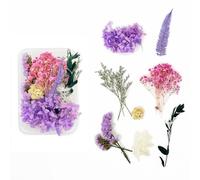 Bmeigo Flores Secas Naturales, Flores Prensadas Mixtas Verdaderas Decoraciones Florales Pampas Hojas para Manualidades, Resina, Velas, DIY, felicitación decoración (Púrpura)