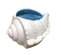 BMOZRM Creatividad Cerámico Caparazón Salero Cocina Encimera Azucarero Moderno Especias Caja De Almacenamiento Para Condimentos Pimienta(Azul)