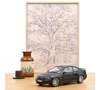 BMW E46 M3 3.0 CSL - 2003