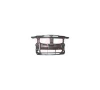 Panel Delantero 0657668 VAN WEZEL Para BMW