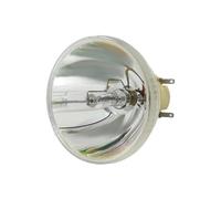 BNEAIGHW Bombilla de proyección Lámpara de proyector de repuesto RLC-119 for VIEWSONICPX701HD CPX701HD PG710WUV S11990 PX701-4K luz de escenario