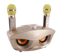 Bnineteenteam Altavoz de Karaoke, Altavoz Bluetooth con Dos Micrófonos, Batería de 3000mAh para Fiesta en Casa KTV (Gold)