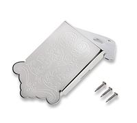 Bnineteenteam Mandolin - Funda de repuesto para mandolina con accesorios para instrumentos de tornillos, Plateado