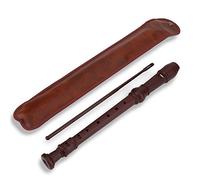 Bnineteenteam Tubo de láminas de 8 Agujeros de plástico para Instrumentos de grabadora Musical para niños o Principiantes