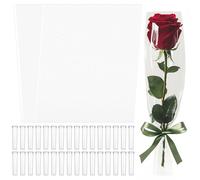 BNJZWJJ 100 fundas de rosas Singer con 100 tubos de agua florales para ramos, bolsa de flores y soporte de flores para ramos, tubos de flores para flores frescas