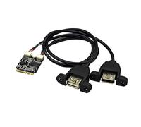 Bnnlqpsttg Adaptador de extensión de tarjeta M2 WiFi Key A/ETO adaptador de tarjeta USB placa base portátil Ngff a puerto dual USB2.0 tarjeta de extensión B