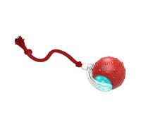 Bnnlqpsttg Interactivo para Interior Bola Rodando Rápidamente sobre la Alfombra, Gorjeando y Activando el Movimiento