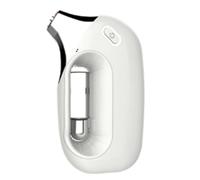 Bnnlqpsttg Pulverizador Portátil Eléctrico De Inyección De Oxígeno Portátil Mano Nano