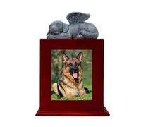 bnsggl Urnas para mascotas con marco de fotos, cremación funeraria, caja pequeña, urna de madera, urna de memoria para mascotas + marco de fotos de regalo