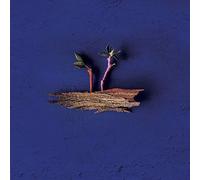 Boa Noite Pra Falar Com O Mar