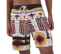 Boardshort Hombre - Phantom Block Party 18'