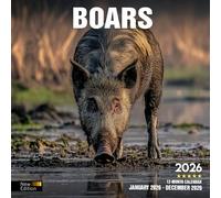Boars 2026 Calendar: Wild Pigs in Forest and Woodland Scenes | Kalender Calendario Calendrier
