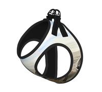 Boat Beach Sunrise Time - Juego de correa ajustable con arnés para gatos y perros, chaleco de malla suave y transpirable con diseño reflectante, correa a prueba de fugas para mascotas pequeñas