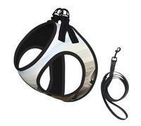 Boat Beach Sunrise Time - Juego de correa ajustable con arnés para gatos y perros, chaleco de malla suave y transpirable con diseño reflectante, correa a prueba de fugas para mascotas pequeñas