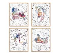Boat Wades Póster artístico de pared, regalos para audiólogos, pósteres de anatomía del oído, especialista en audiología, sección transversal, clínica, audición, oficina, gran regalo para audiólogos
