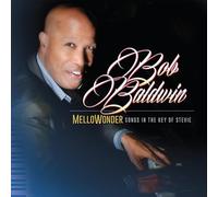 Bob baldwin - Mellowonder - songs in the key of stevie [Vinilo]