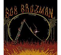 Bob Brozman - Devil's Slide