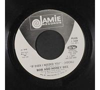 BOB & HONEY BEE - if i ever need you / instro