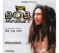 Bob Marley - Les Dernières Heures De Sa Vie