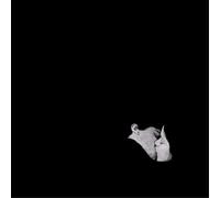 Bob Moses - Days Gone By [Vinilo]