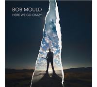 Here We Go Crazy -Vinilo