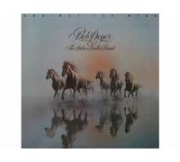 Bob Seger & The Silver Bullet Band - Against The Wind [Vinyl LP record] [Schallplatte]