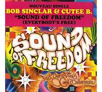 Bob Sinclar - Sound of Freedom [Vinilo]