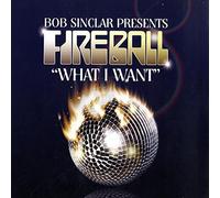 Bob Sinclar - What I Want [Vinilo]