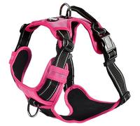 Bobby Rando Walk - Arnés para Perro, arnés para Perro, tamaño Mediano, pequeño, Grande, de Nailon, Seguro, cómodo, Reflectante, Ajustable, Fucsia, xL/53-82x2,5 cm