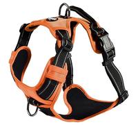 Bobby Rando Walk - Arnés para Perros, arnés para Perro, tamaño Mediano, pequeño, Grande, de Nailon, Seguro, cómodo, Reflectante, Ajustable, Naranja, xL/53-82x2,5 cm