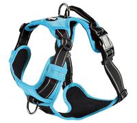 Bobby Rando Walk - Arnés para Perros, arnés para Perros medianos, pequeños y Grandes de Nailon, Seguro, cómodo, Reflectante, Ajustable, Azul, L/46-70 x 2,5 cm