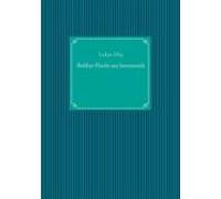 Bobbys Flucht Aus Innsmouth (ebook)