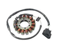 Bobina de Encendido 21003-0083 Bobina Estator Motor Generador Magneto Motocicleta para Kawasaki para Ninja 600 ZX-6R ZX600R9F ZX600RAF ZX600RBF ZX600RCF ZX600R9FA ZX600RAFA