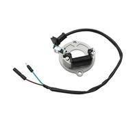 Bobina de Encendido 31120-GC4-600 Bobina del Estator Motor Generador Magneto De Motocicleta para Honda CR80 CR80R 1996-2002 CR80RB